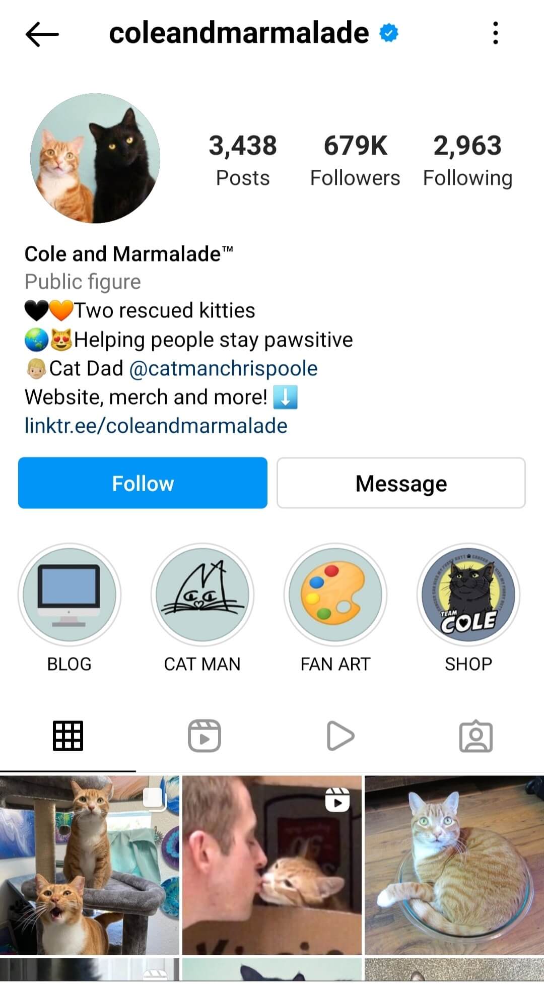 Ecommerce beyond Holiday Shopping: Market Segmentation and Opportunities for Thematic Specials 6 Cole and marmalade's Instagram. Two rescued kitties helping people stay pawsitive. Photos and videos of two cat influencers.