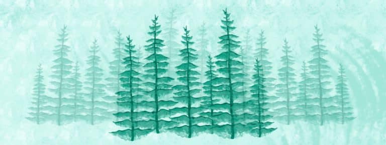 Print, Discovery Commerce, and Sustainability in 2023 and beyond