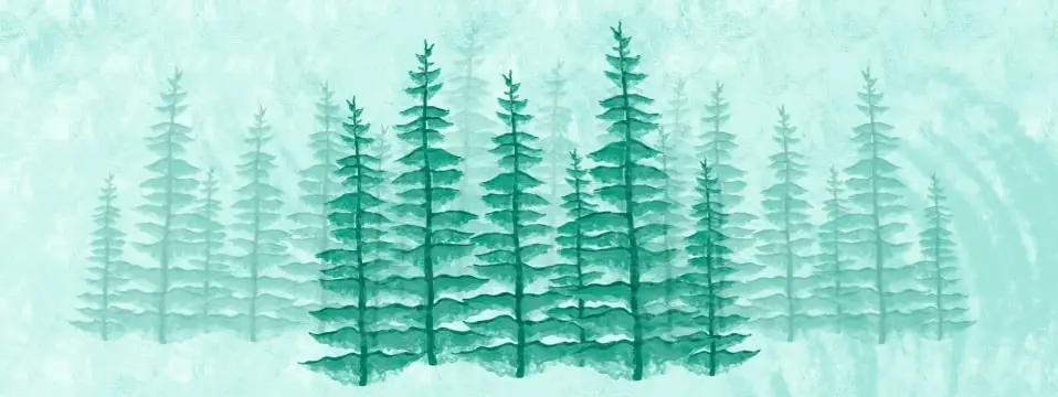 Print, Discovery Commerce, and Sustainability in 2023 and beyond