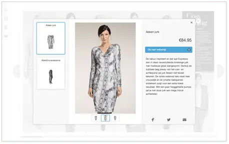 A screenshot of product hotspot, showcasing a dress, inside Expresso Fashion's catalog. 